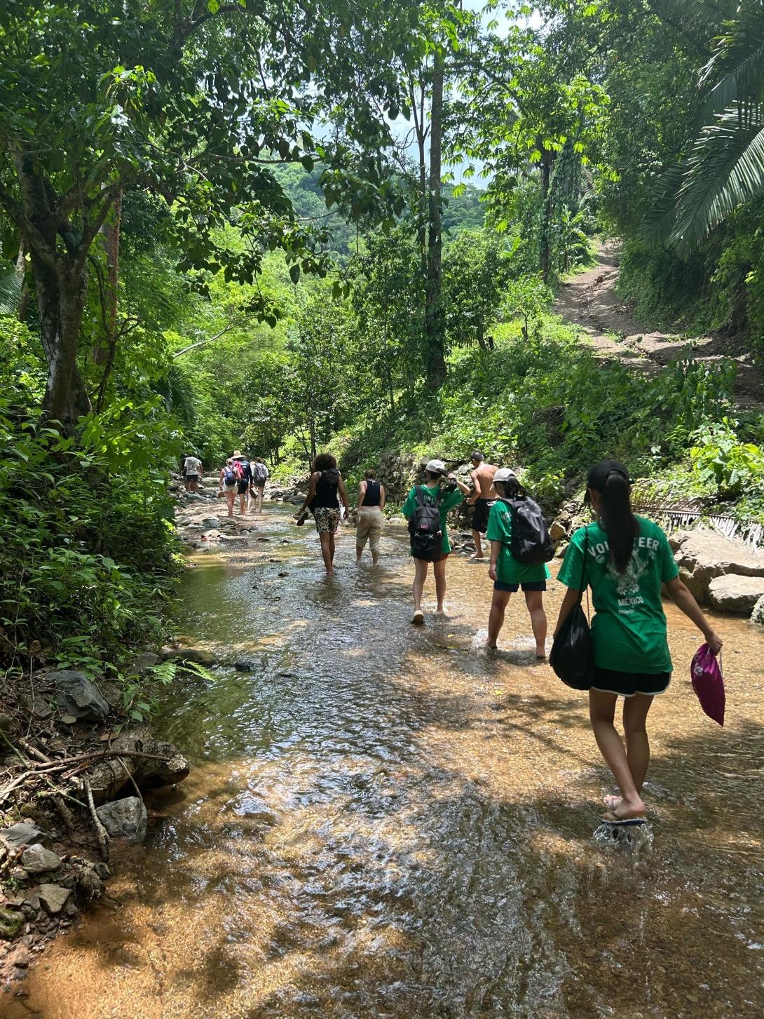 Group of conservation volunteers walking through lush forest during interpretative walks